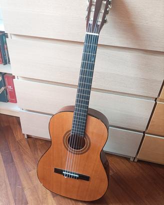 chitarra classica per principianti 🎸
