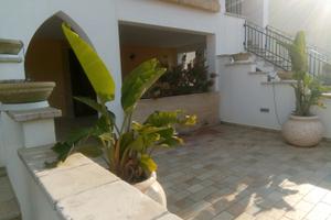 COMODI TRILOCALI A 250m SPIAGGIA DI PESCOLUSE