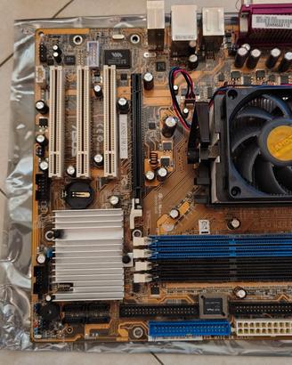 Scheda madre A8NE-FM/S e Processore AMD