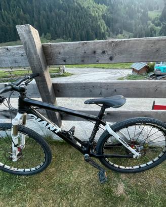 Giant taglia M