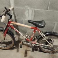 bicicletta 