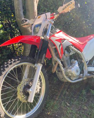 Honda Altro modello - 2021