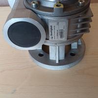 Riduttore Bonfiglioli VF49L i=24 P71 B14 B3