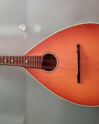 Mandolino