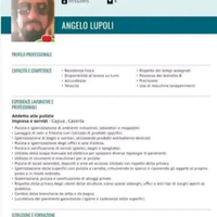 Lavapiatti tutto fare pulizie