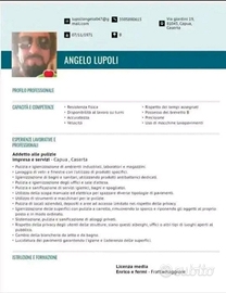 Lavapiatti tutto fare pulizie