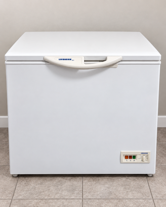 Congelatore freezer a pozzetto Liebherr