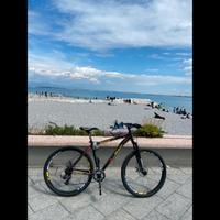 Bici mountain bike bottecchia