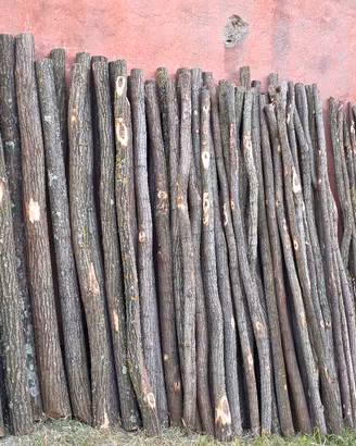 Pali in legno di Robinia pseudoacacia (cassiaro) 