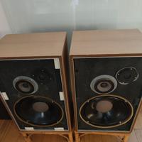 Casse diffusori Goodmans Magnum SL