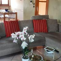 Divano poltrone e Sofà  