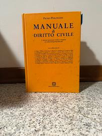 Manuale di diritto civile
