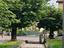 Immagine 26
