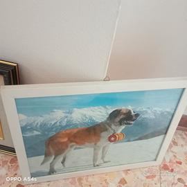 quadri e non solo 