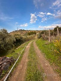 Terreno agricolo 6550 m con magazzino