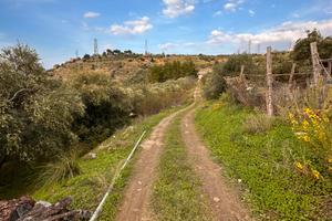 Terreno agricolo 6550 m con magazzino