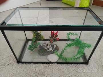 Aquario  d'arredo 