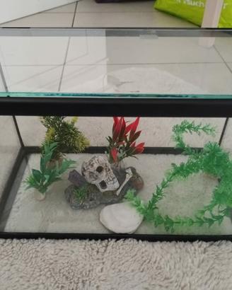 Aquario  d'arredo 
