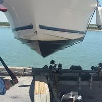 Bayliner 2052 WA-motore revisionato