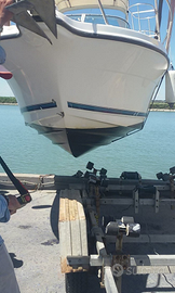 Bayliner 2052 WA-motore revisionato