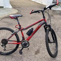 Bici Lombardo