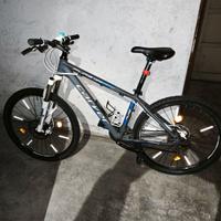 MTB Carver pure usata