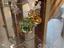 Immagine 3