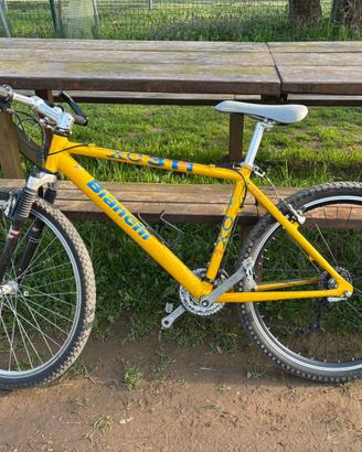 Bici Bianchi XC 311 colore giallo