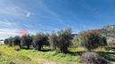terreno-agricolo-terracina-cod-rif-3290200vcg-