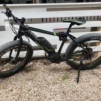Bicicletta elettrica pedalata assistita