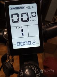 bicicletta