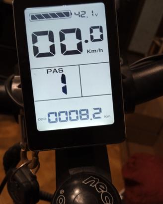 bicicletta