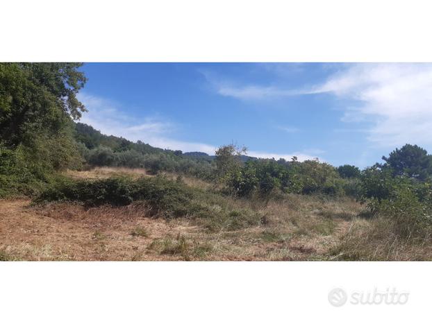 Terreno agricolo a san lucido