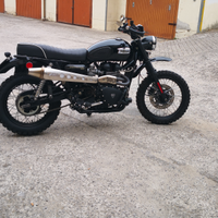 Triumph scrambler 900