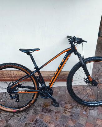 MTB ragazzo Scott 