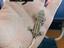 Immagine 1