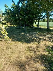 Terreno agricolo Pradamano
