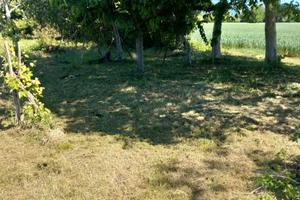 Terreno agricolo Pradamano