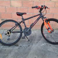 Bicicletta da argazzo