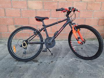 Bicicletta da argazzo