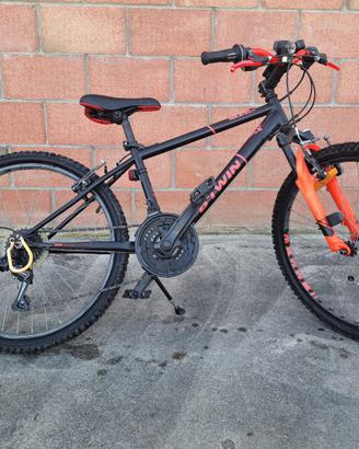 Bicicletta da argazzo