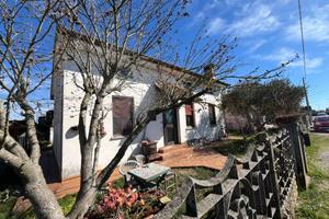 Casa indipendente - San Vito al Torre - Crauglio