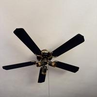 Ventilatore da soffitto con luce