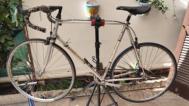 Bici da corsa Guerciotti Alan