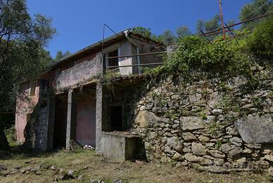 Rustico con uliveto vista mare