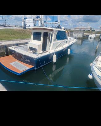 TUCCOLI 30   CABIN FISH