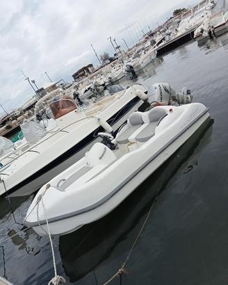 Tender Custom Luxury  3.60+Honda 30 cv