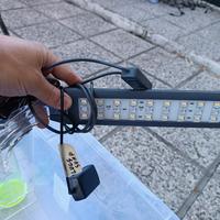 lampada per refugium sump