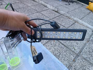lampada per refugium sump