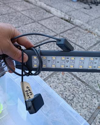 lampada per refugium sump